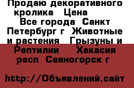 Продаю декоративного кролика › Цена ­ 500 - Все города, Санкт-Петербург г. Животные и растения » Грызуны и Рептилии   . Хакасия респ.,Саяногорск г.